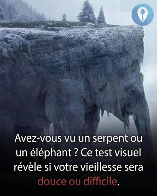 Serpent ou éléphant : cette illusion d'optique virale révèle comment vous voyez vraiment le monde
