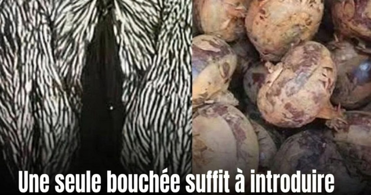 Légumes racines et hygiène alimentaire : ce que vous devez vraiment savoir avant de les manger