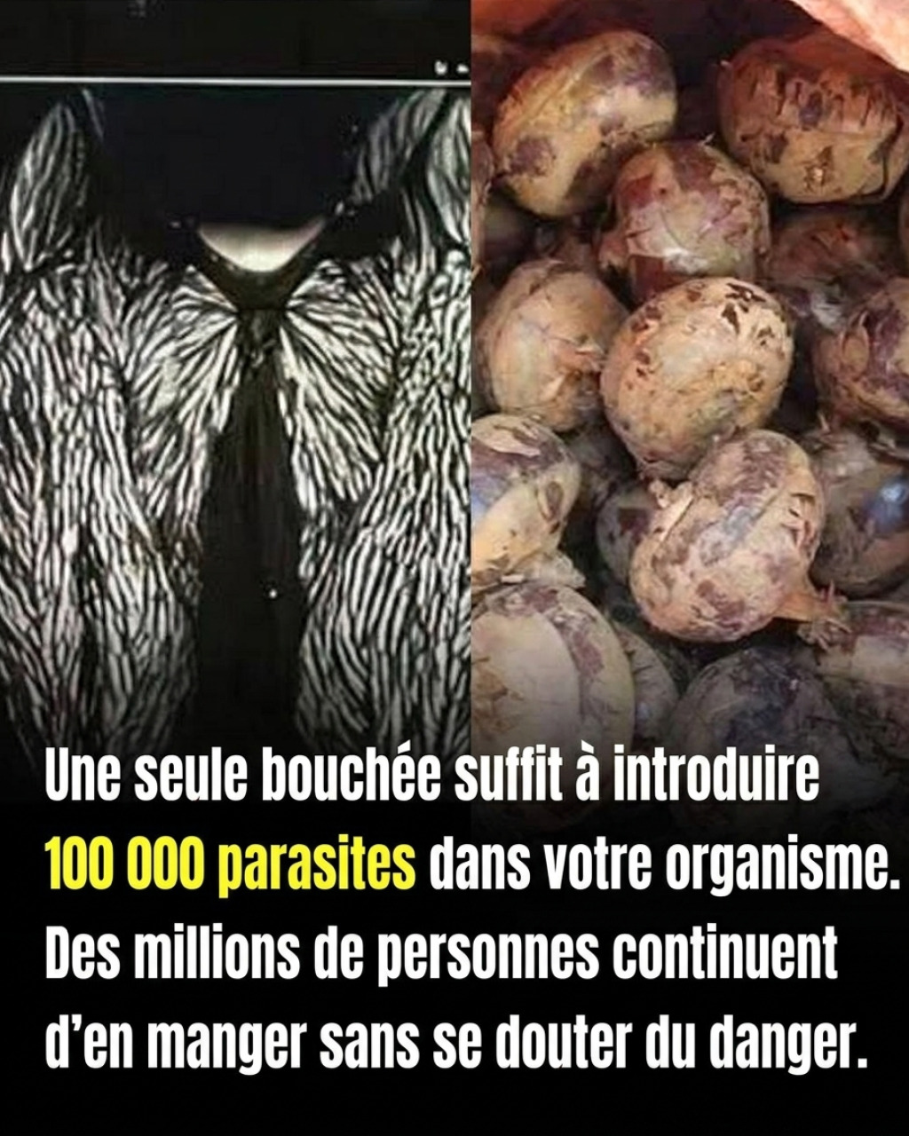 Légumes racines et hygiène alimentaire : ce que vous devez vraiment savoir avant de les manger