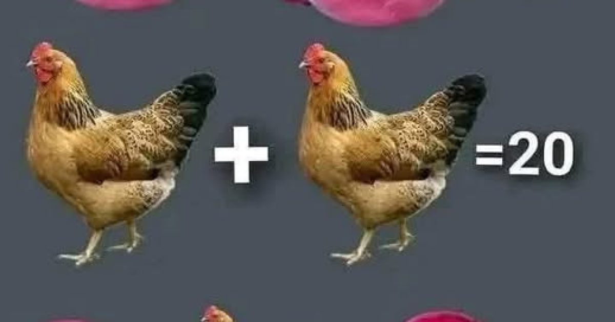 Ce puzzle mathématique piège 9 personnes sur 10 : êtes-vous de celles qui trouvent la bonne réponse ?
