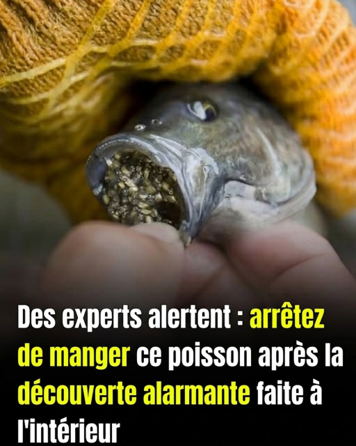Poisson : 5 signes qui montrent qu'il ne faut surtout pas le manger