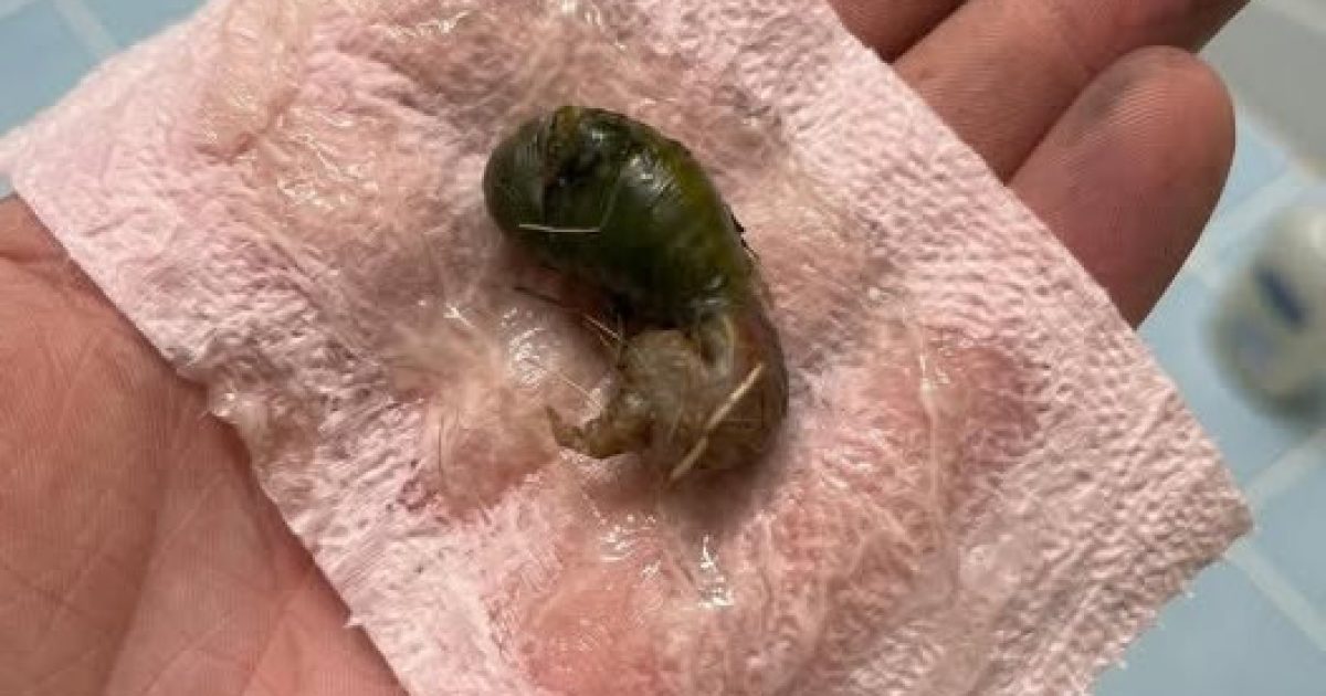 Elle trouve un objet bizarre dans sa salle de bain : la réponse va vous faire sourire
