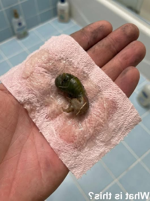Elle trouve un objet bizarre dans sa salle de bain : la réponse va vous faire sourire