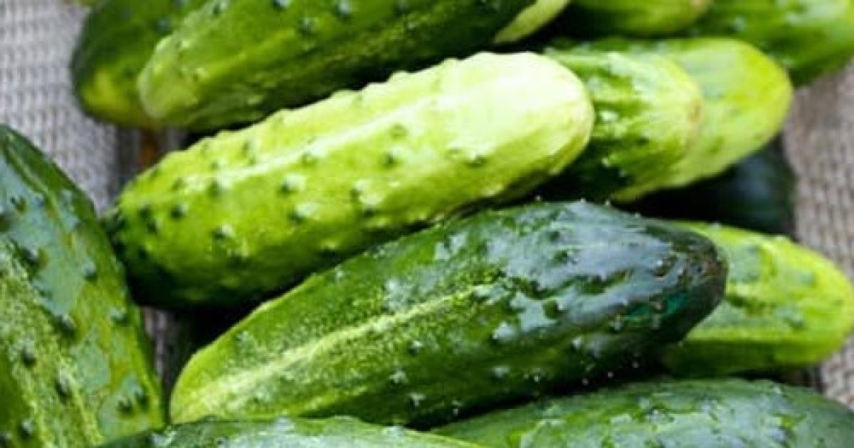 Ce que les médecins révèlent sur le concombre dans votre salade va vous surprendre