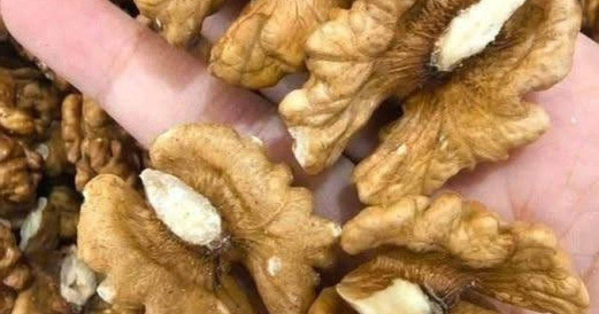 Noix et santé cérébrale : ce que les médecins révèlent sur ce super-aliment du quotidien