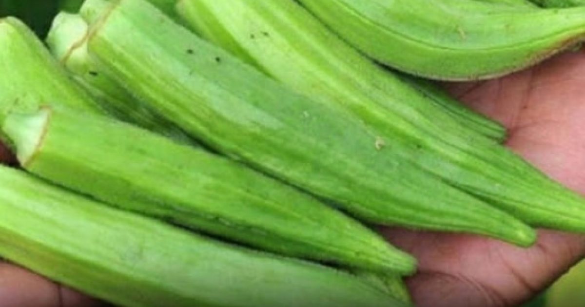 Ce légume méconnu que les médecins recommandent de manger plusieurs fois par semaine