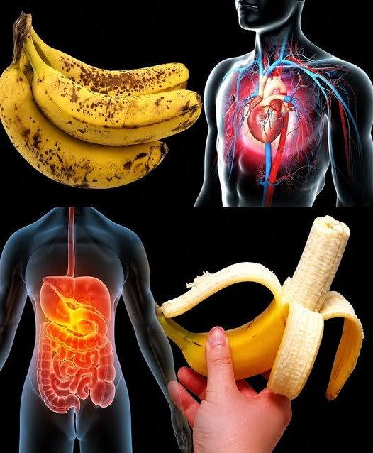 La banane : ce fruit tout simple qui fait bien plus de bien qu'on ne le croit