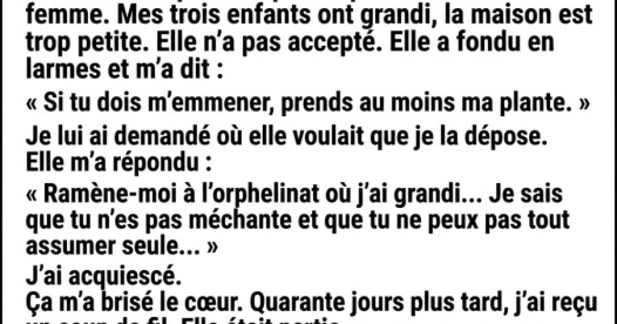 Il force sa mère à quitter sa maison à 72 ans : la lettre qu'elle a cachée dans un pot de fleurs va tout changer