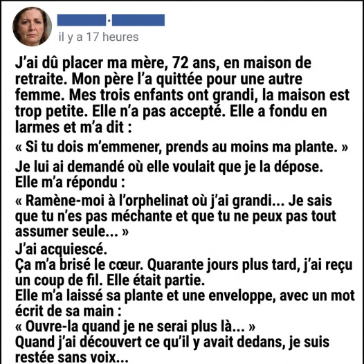 Il force sa mère à quitter sa maison à 72 ans : la lettre qu'elle a cachée dans un pot de fleurs va tout changer