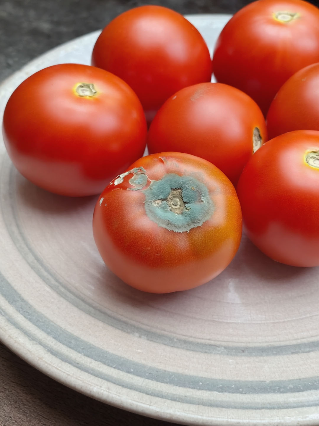 Ne jetez pas les tomates abîmées : 4 utilisations utiles qui vous surprendront