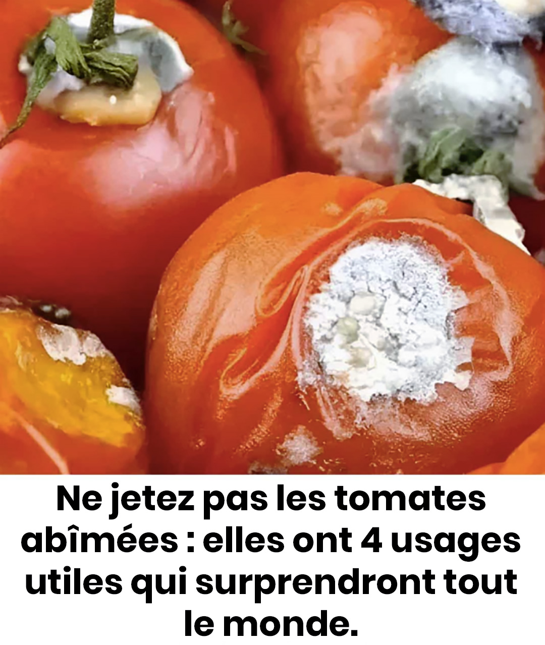 Ne jetez pas les tomates abîmées : elles ont 4 usages utiles