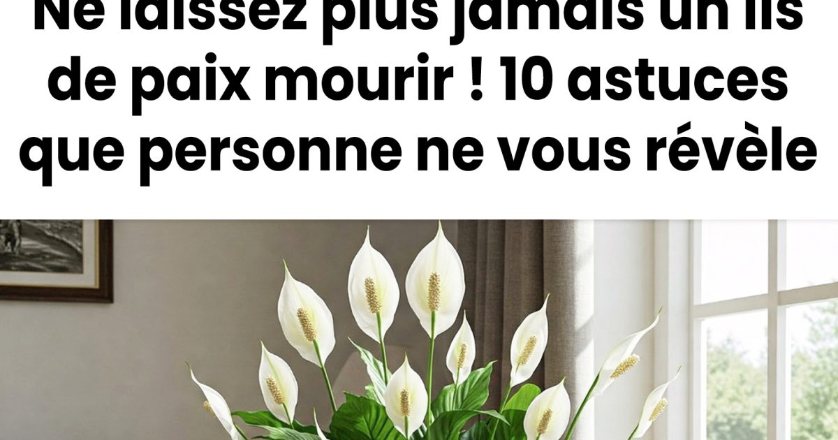 Ne laissez plus jamais mourir votre lis de paix ! 10 astuces que personne ne vous dit