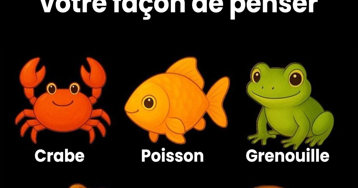 Ne trichez pas. Repérez l’intrus pour connaitre votre façon de penser