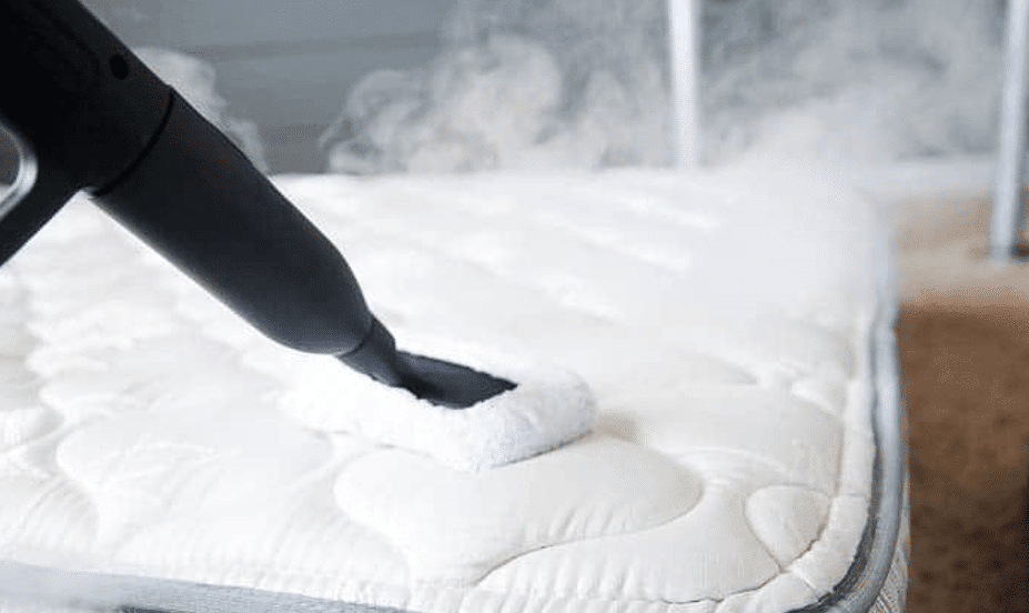 Nettoyage vapeur contre les punaises
