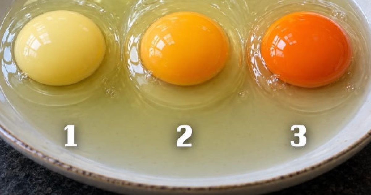 Couleur du jaune d'œuf : ce que vous croyez savoir sur la santé des poules est (probablement) faux