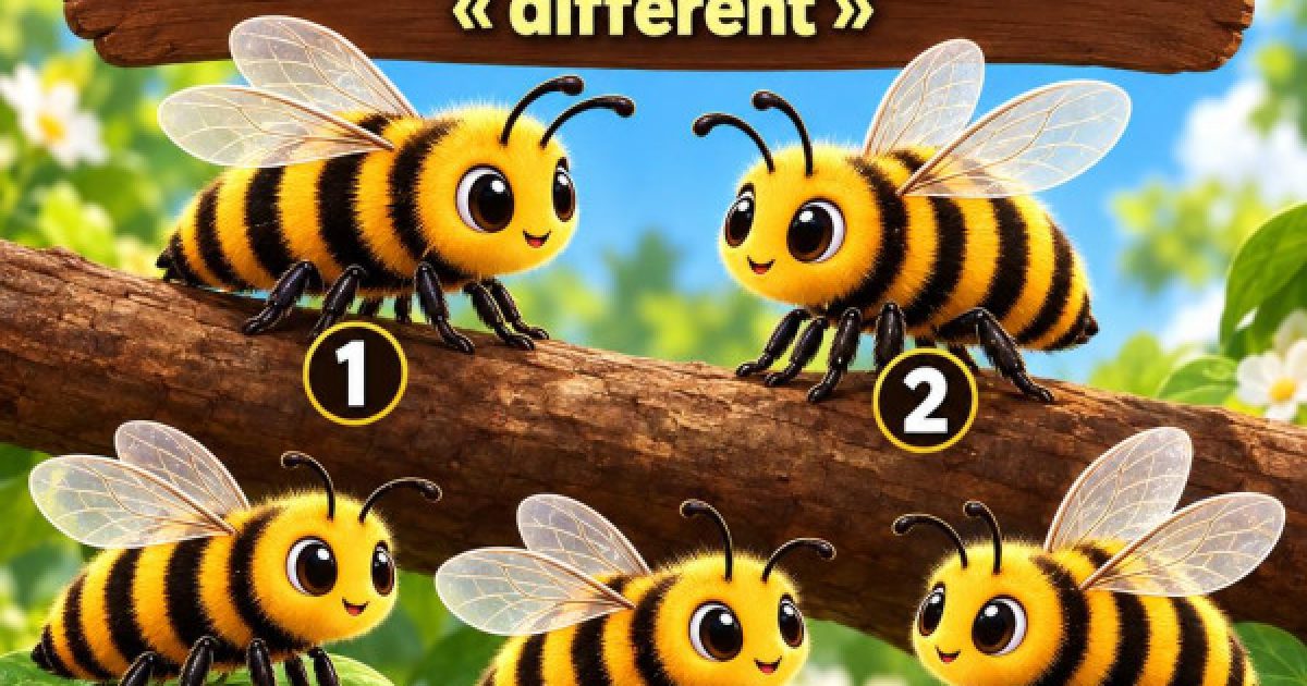 Test visuel : choisissez l'intrus et découvrez quel type de personnalité vous êtes vraiment