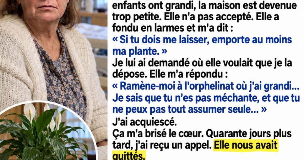 Elle cachait une lettre dans son pot de fleurs : ce que ce fils a découvert après le décès de sa mère l'a brisé en deux