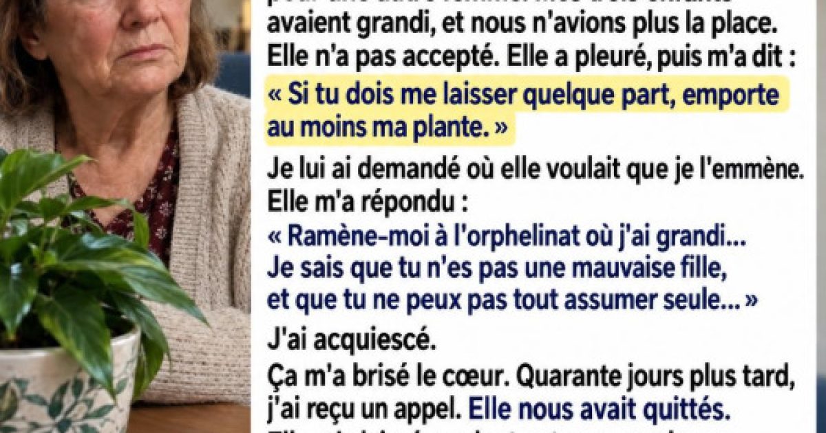Elle cache une lettre dans un pot de fleurs avant de partir : ce que son fils découvre des mois plus tard le brise