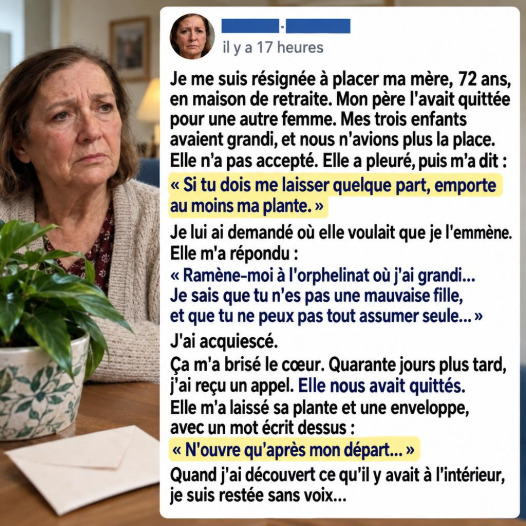 Elle cache une lettre dans un pot de fleurs avant de partir : ce que son fils découvre des mois plus tard le brise