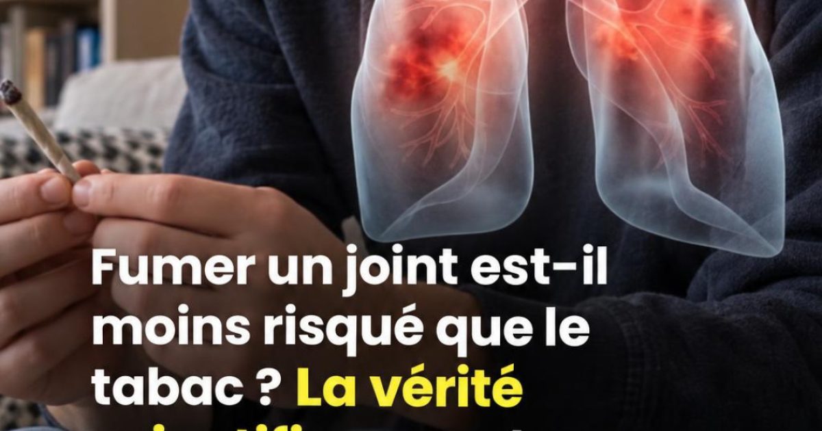 Cannabis et poumons : voici ce que les études révèlent vraiment sur les risques pour la santé