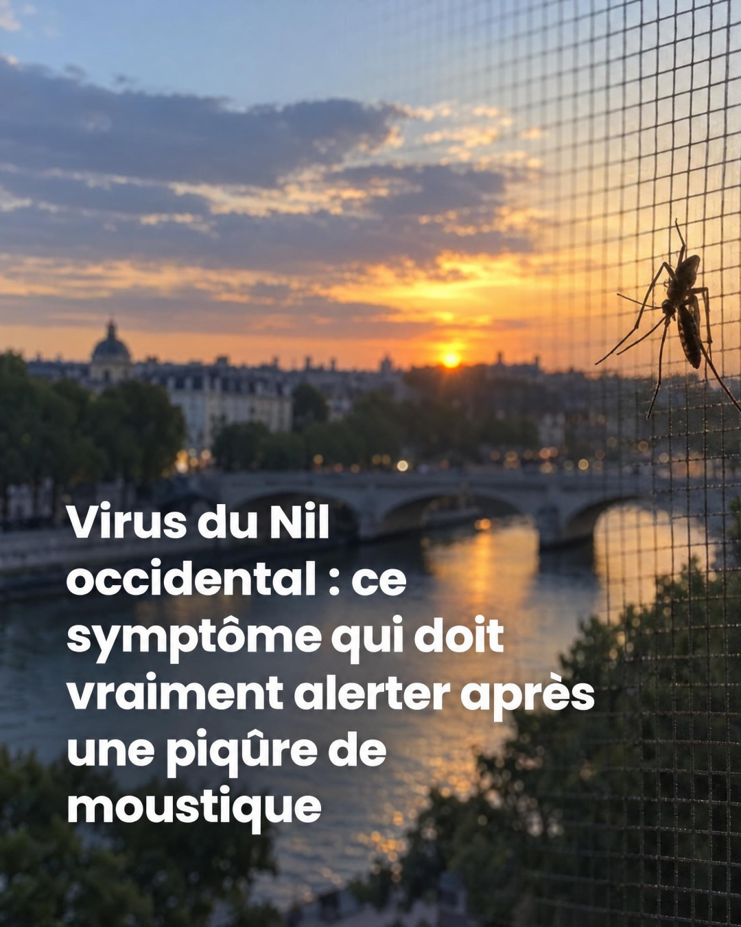Virus du Nil occidental : le symptôme après une piqûre de moustique qui doit vous alerter immédiatement