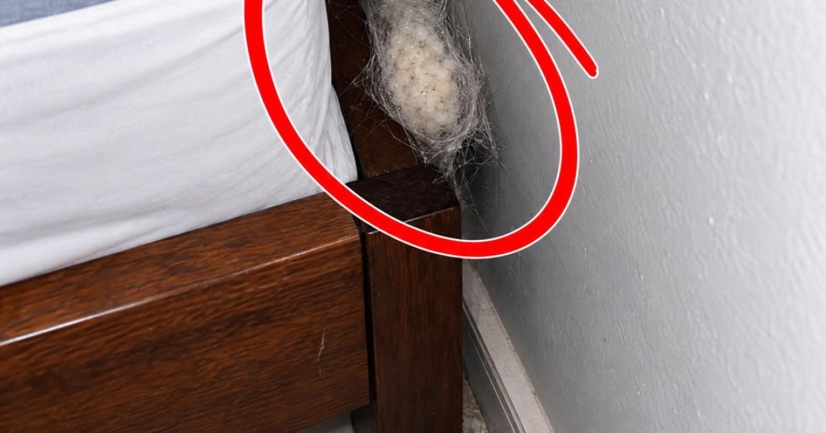 Cette mystérieuse petite boule découverte près de votre lit : ce que c'est vraiment et quoi faire
