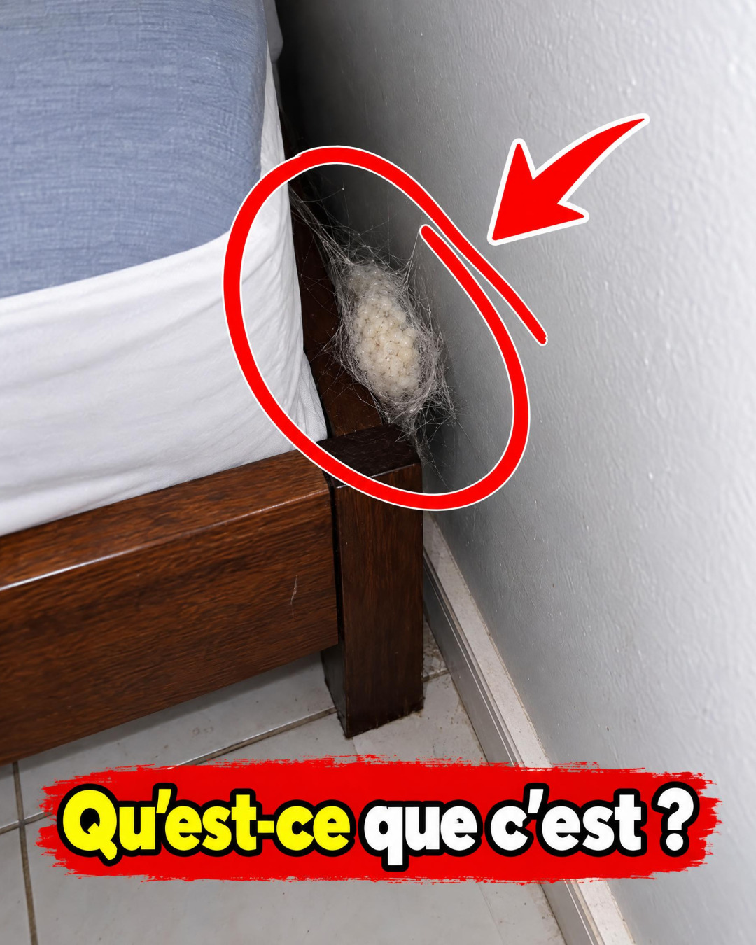 Cette mystérieuse petite boule découverte près de votre lit : ce que c'est vraiment et quoi faire