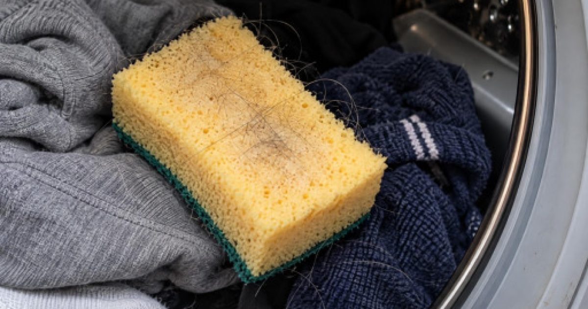 Poils d'animaux dans le lave-linge : pourquoi glisser une éponge dans le tambour change absolument tout