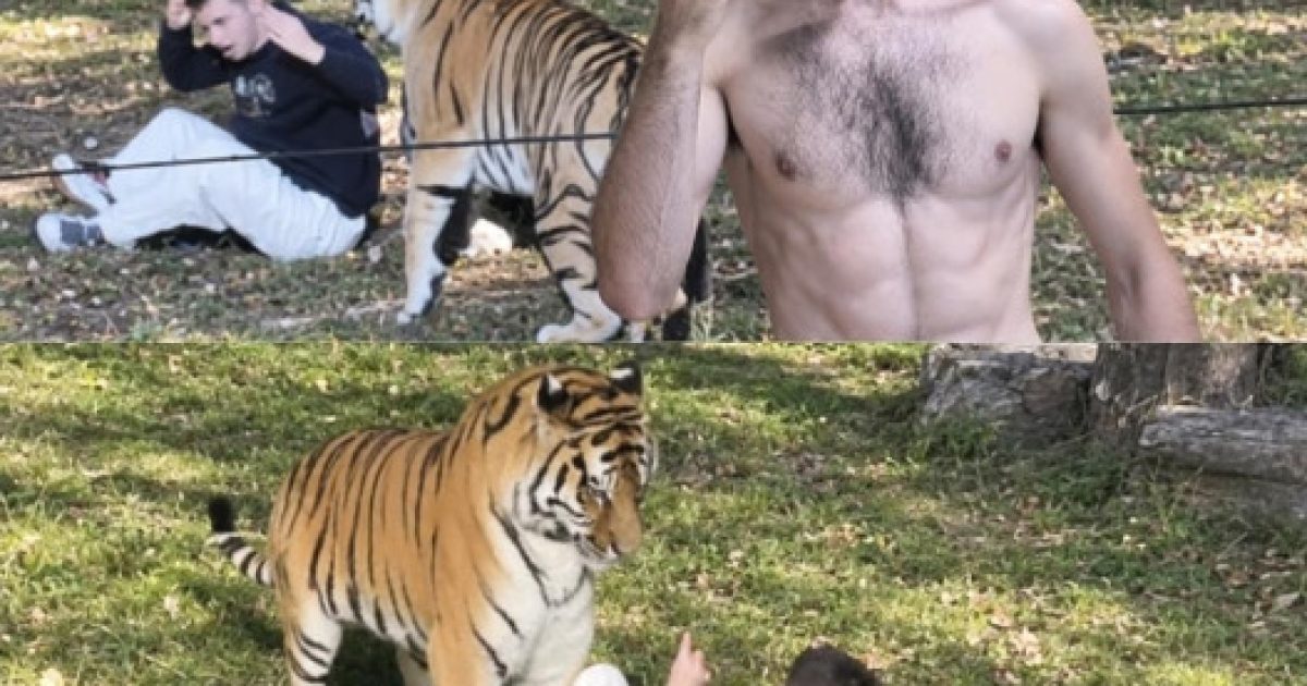 Il franchit l'enclos d'un tigre de 200 kg : ce que les gardiens ont retrouvé dans son sac révèle tout