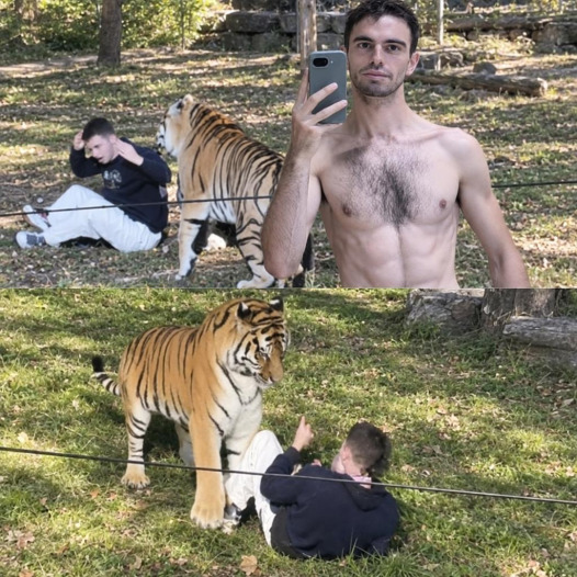 Il franchit l'enclos d'un tigre de 200 kg : ce que les gardiens ont retrouvé dans son sac révèle tout