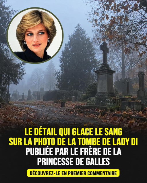 Lady Diana : la photo mystérieuse partagée par son frère qui fait beaucoup parler sur les réseaux