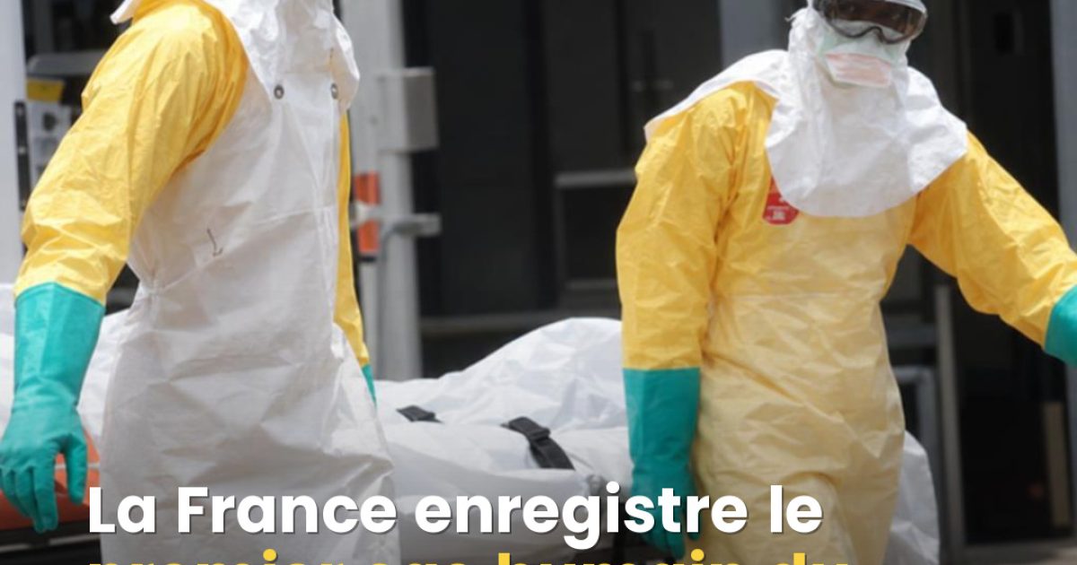 Virus Shamonda : un premier cas humain détecté en France, ce qu'il faut vraiment savoir