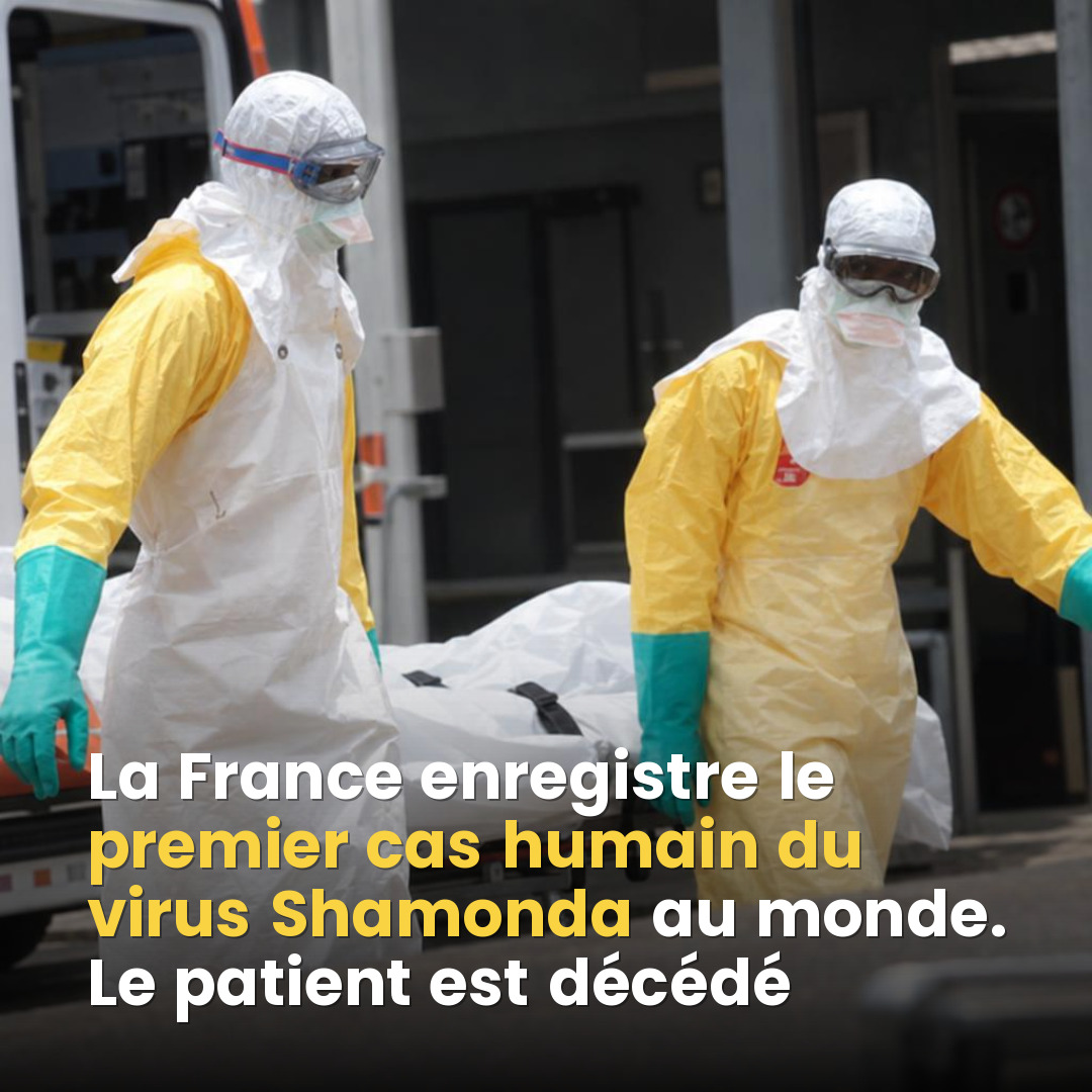 Virus Shamonda : un premier cas humain détecté en France, ce qu'il faut vraiment savoir