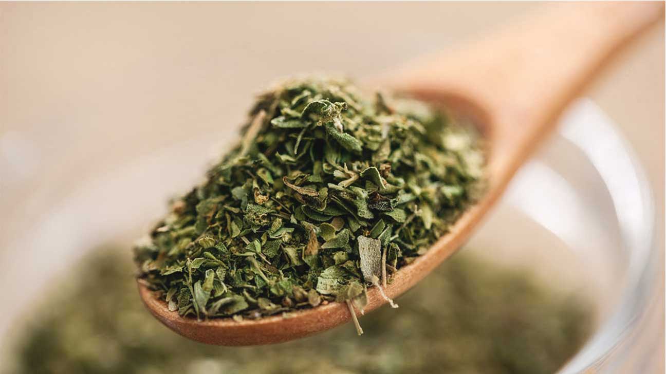 Oregano – przyprawa kryjąca w sobie cały arsenał korzyści zdrowotnych