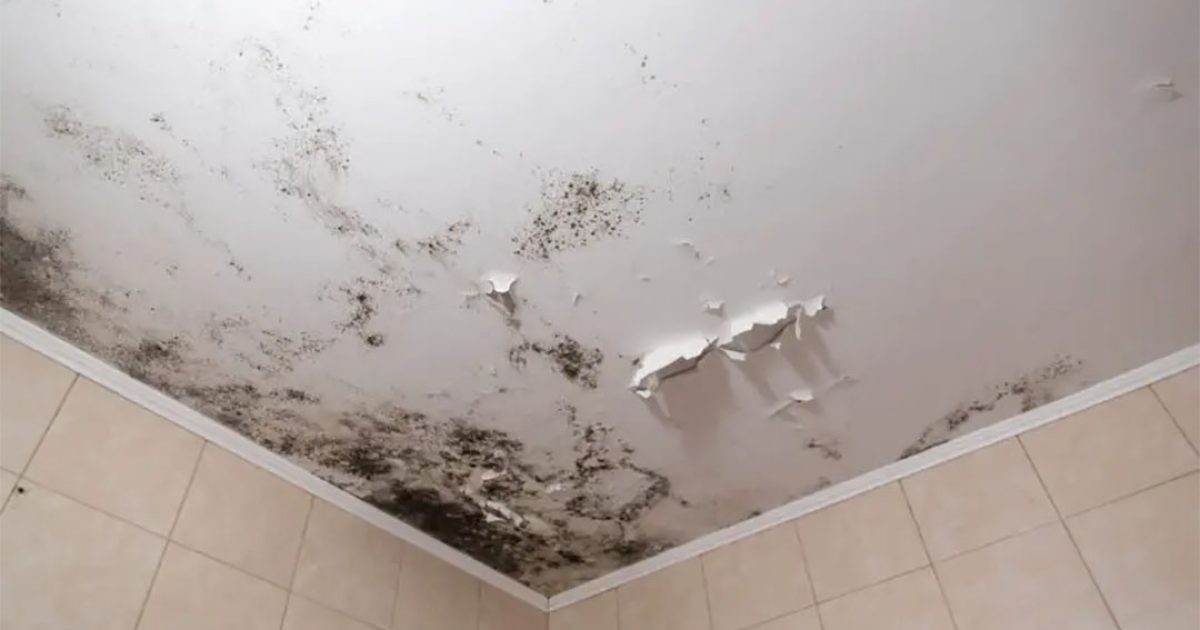 Oubliez l’humidité au plafond et sur les murs de votre maison : 5 astuces infaillibles contre la pluie