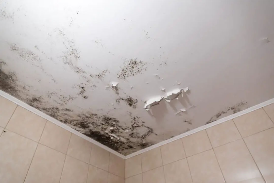 Oubliez l’humidité au plafond et sur les murs de votre maison : 5 astuces infaillibles contre la pluie