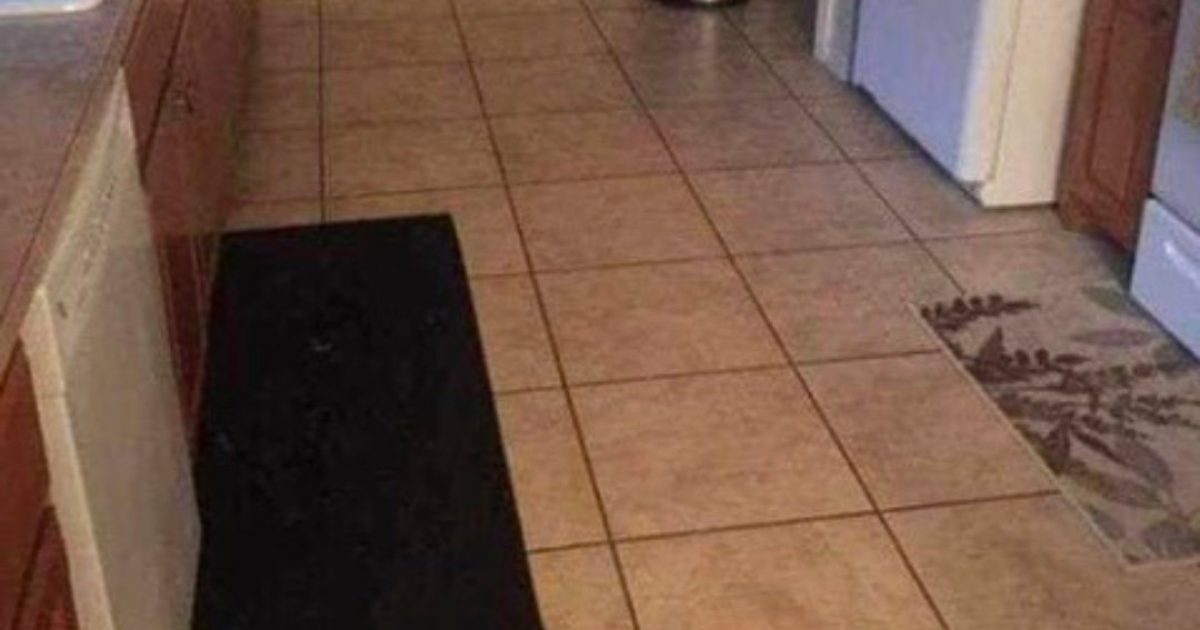 Parvenez-vous à repérer le gros chien dissimulé dans cette cuisine ?