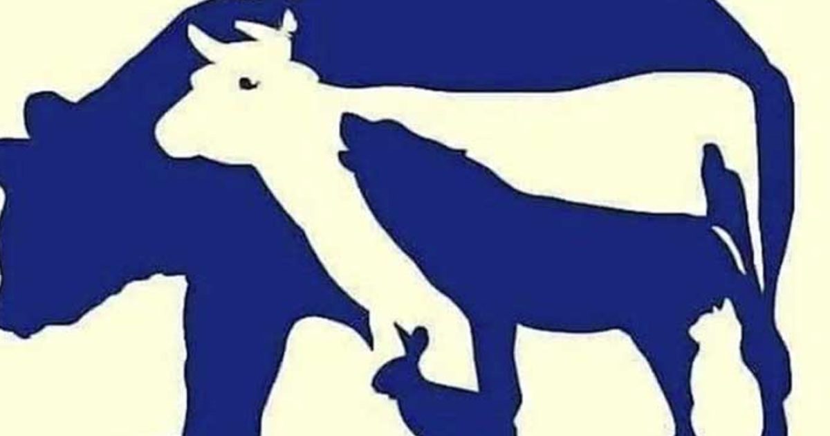 Parviendrez-vous à trouver les 10 animaux cachés dans cette image ?