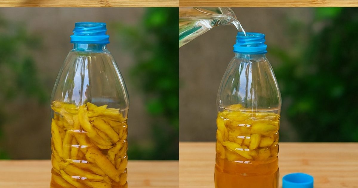 Peaux de banane : Mettez-les dans une bouteille. Si vous les utilisez ainsi, vous ne les jetterez plus jamais
