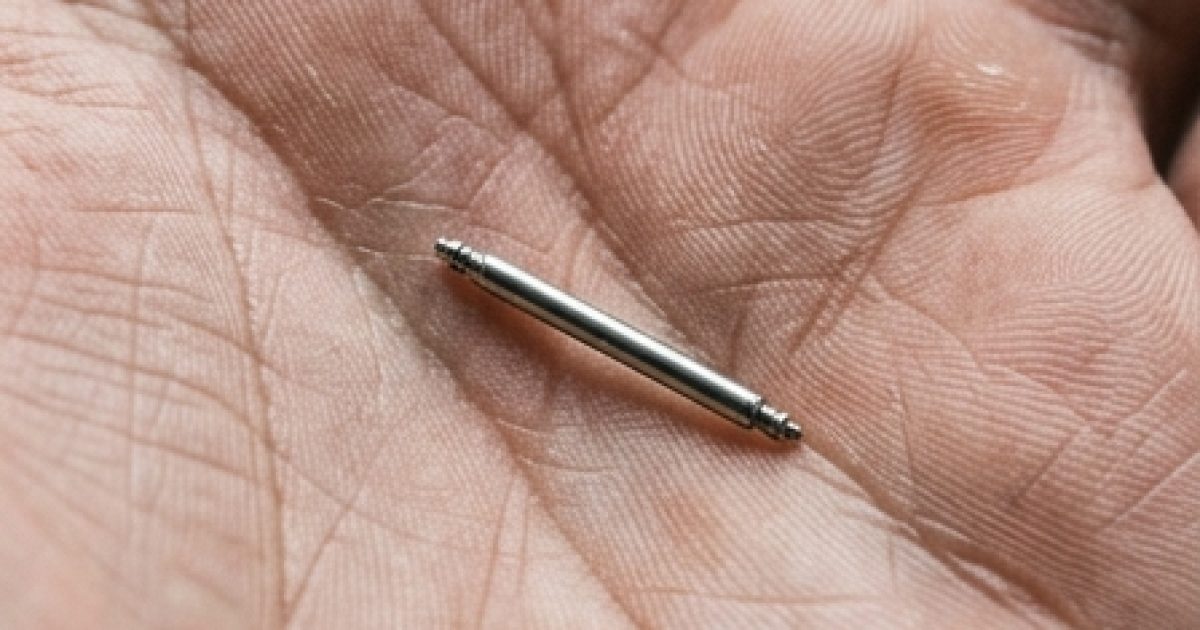 Petits mais importants : l’histoire cachée d’objets métalliques insolites