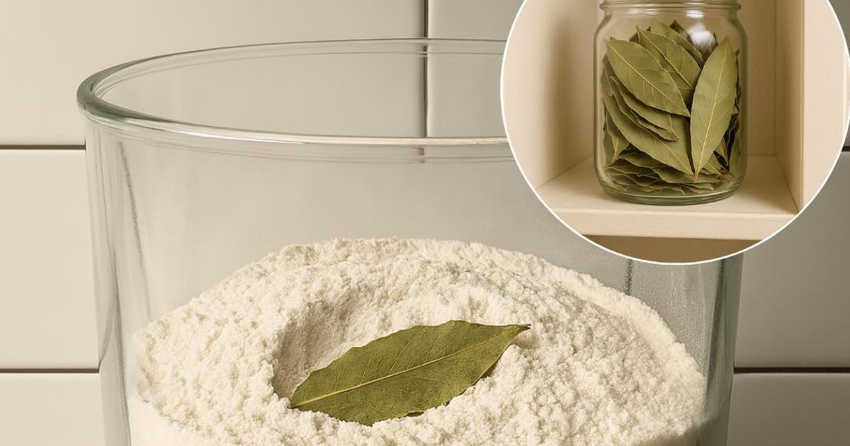 Placez des feuilles de laurier dans les coins de votre cuisine — et voyez ce qu’il se passe