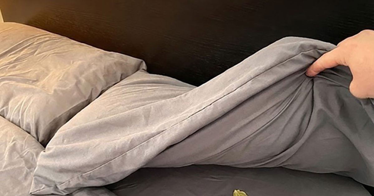 Placez trois feuilles de laurier sous le lit ou sous la couverture avant de vous coucher : voici pourquoi