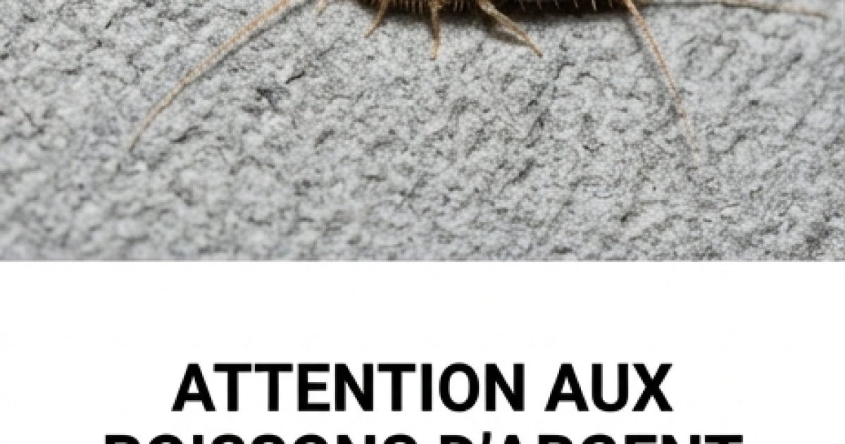 Poissons d'argent dans la maison : le signe à ne pas ignorer et comment les éloigner