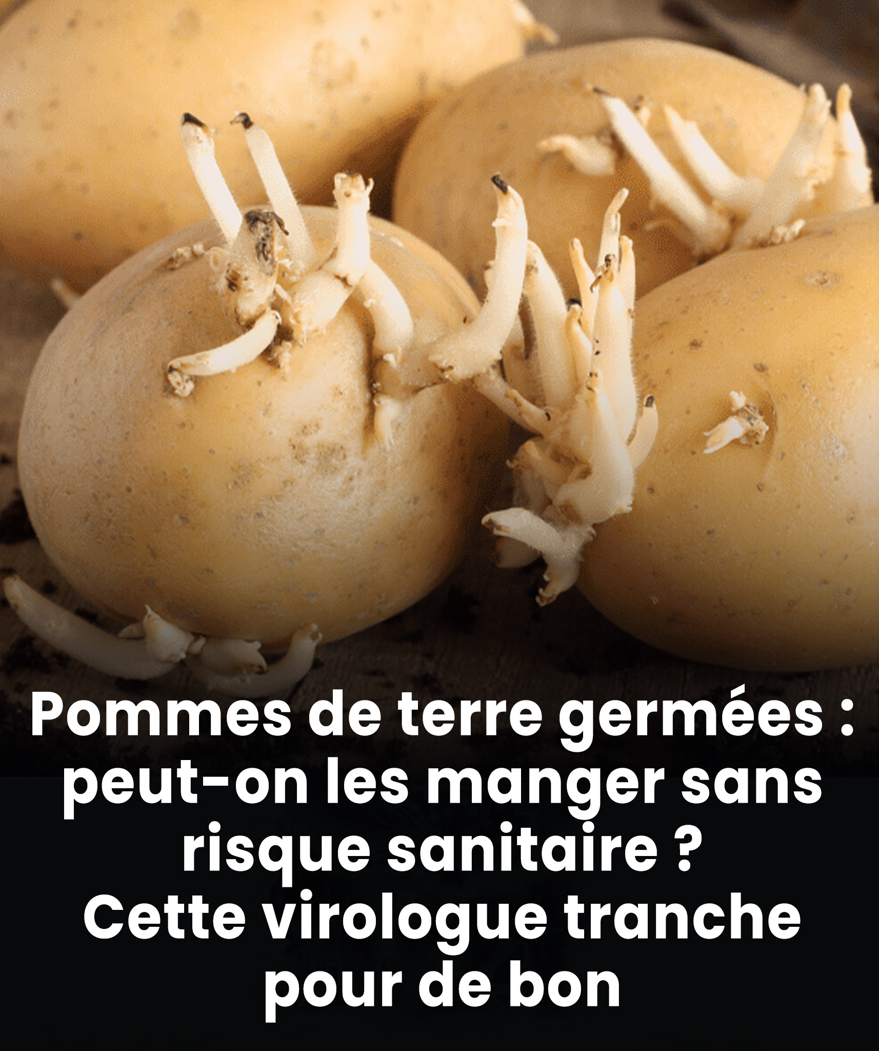 Pommes de terre germées: peut-on les manger sans risque sanitaire ? Cette virologue tranche pour de bon.