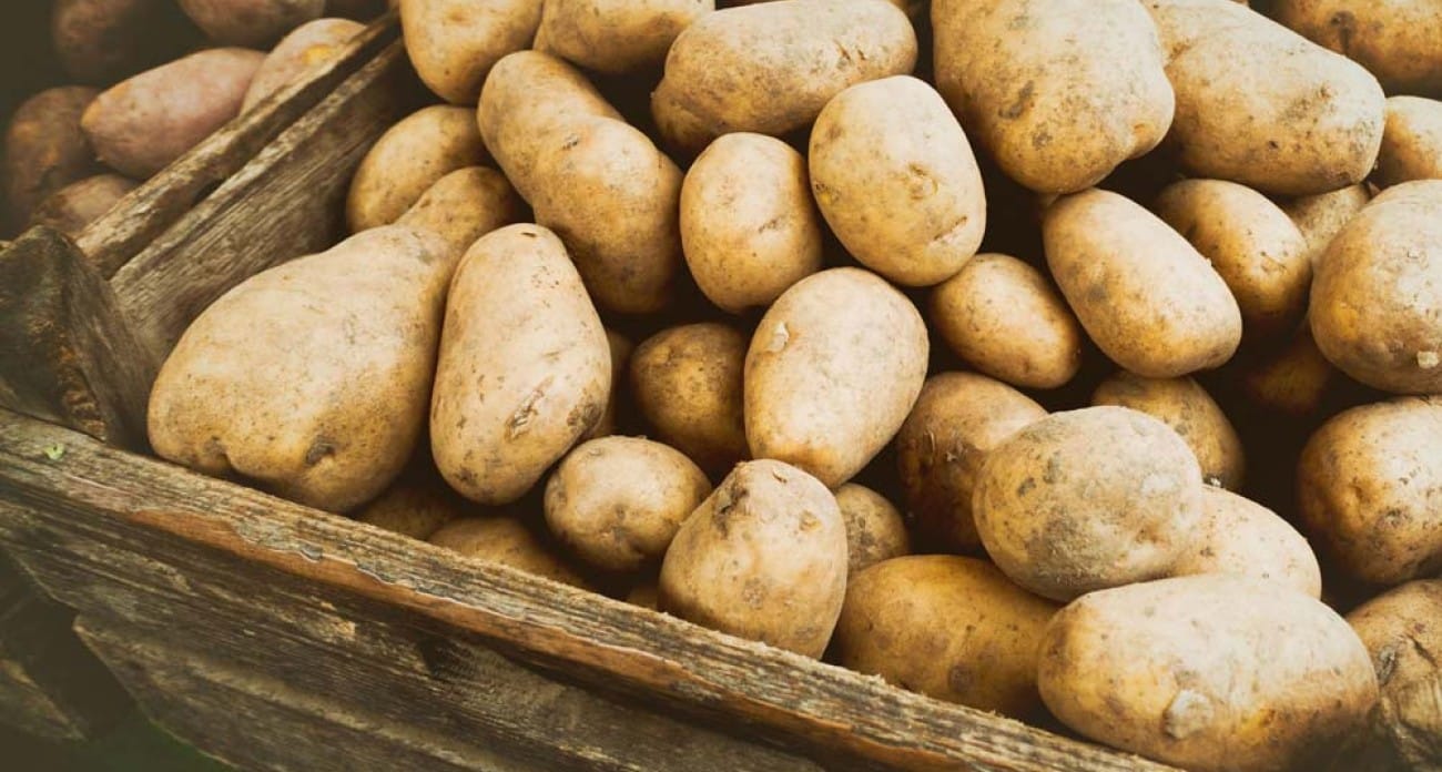 Adieu les pommes de terre qui germent : 3 secrets de conservation qui marchent vraiment