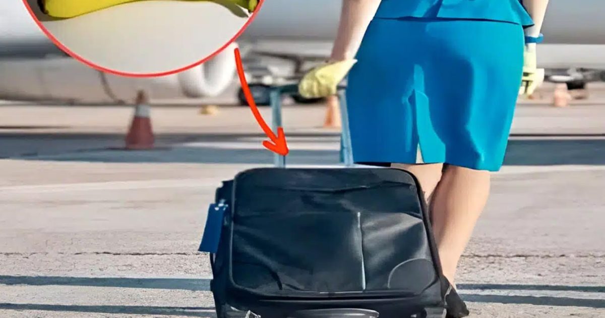 Pourquoi de nombreuses hôtesses de l’air emportent-elles toujours une banane avec elles à bord ?