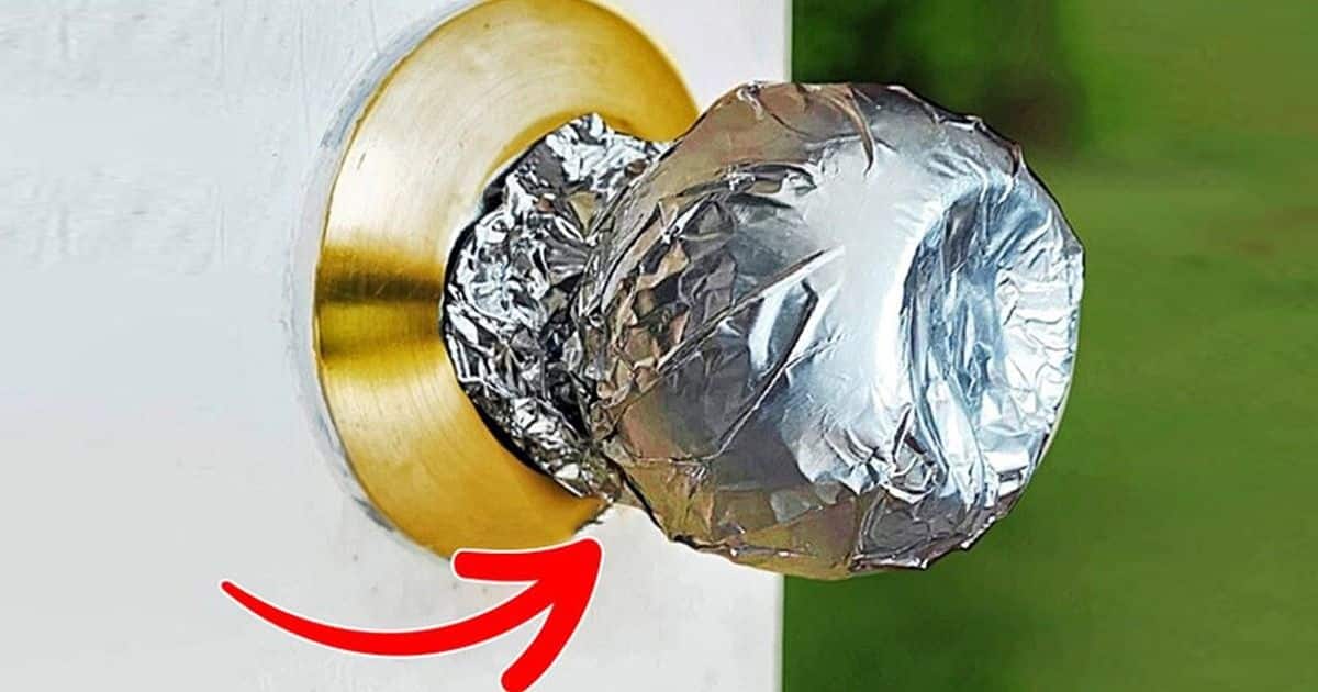 L’aluminium ménager, ce héros discret qui révolutionne votre intérieur