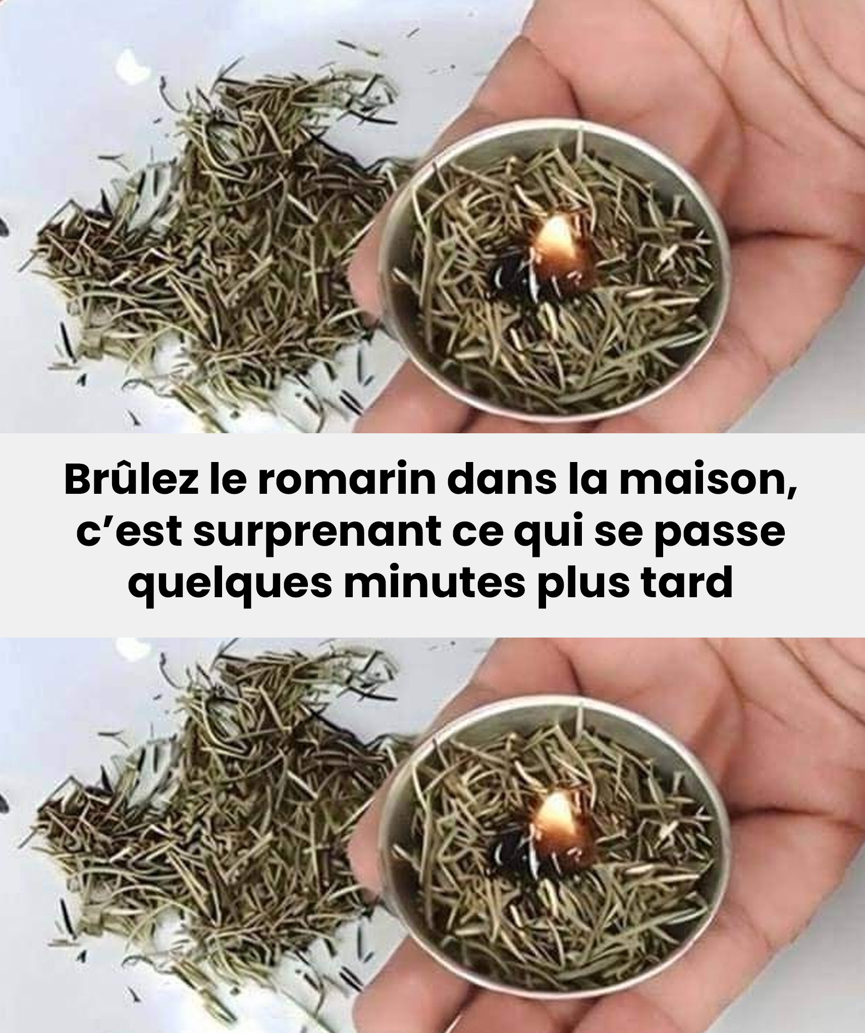 Pourquoi est-il bon de brûler du romarin à la maison ?
