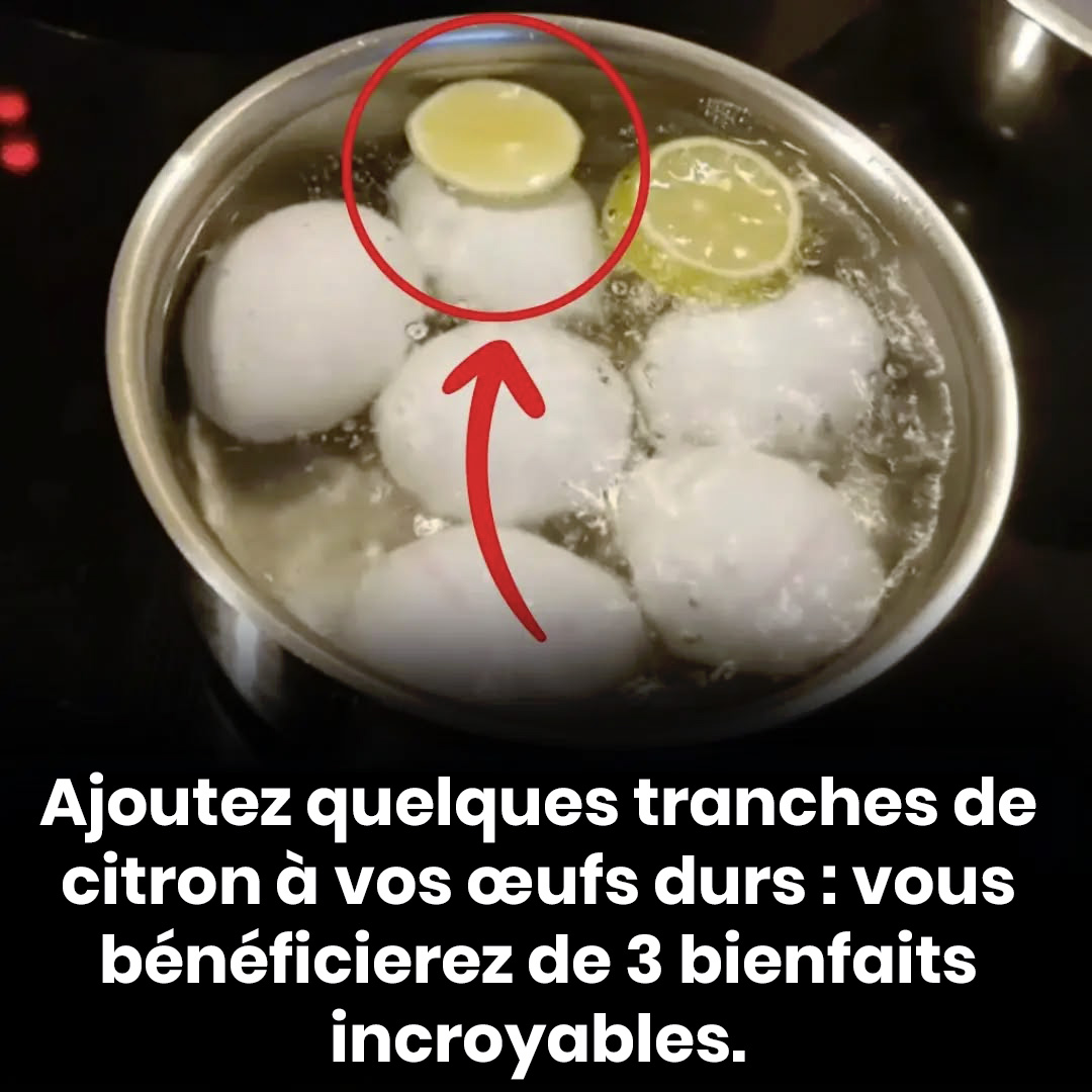 Pourquoi faire bouillir des œufs avec du citron : nos conseils