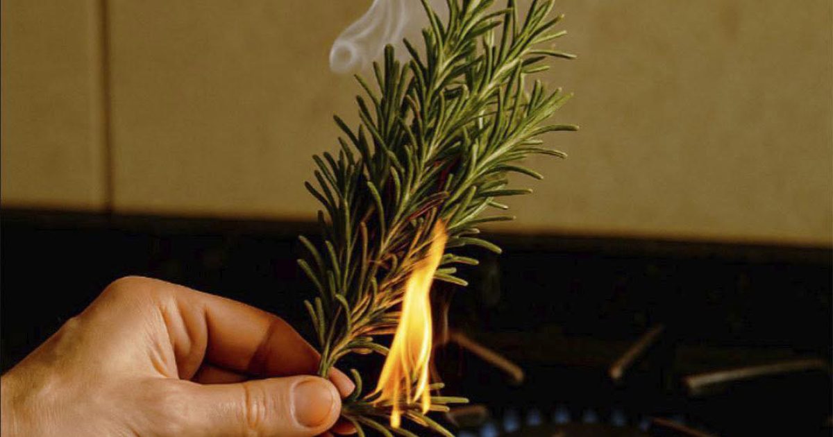 Pourquoi faut-il brûler des brins de romarin ?
